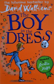 The Boy in the Dress - David Walliams